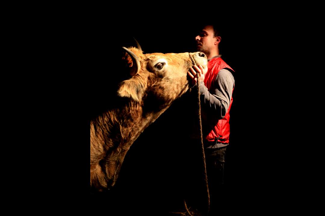 Aubrac Aubrac